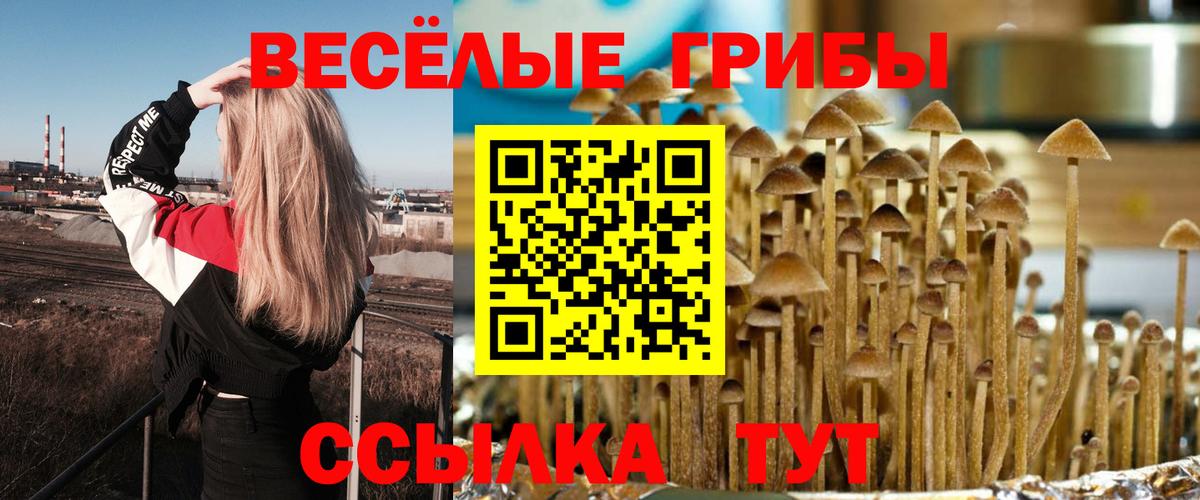 Галлюциногенные грибы GOLDEN TEACHER Комсомольск-на-Амуре