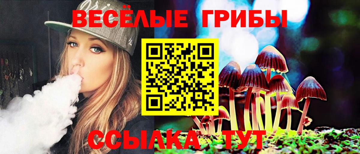 Псилоцибиновые грибы прущие грибы  Галлюциногенные грибы Cubensis  Комсомольск-на-Амуре  Вход с VPN 